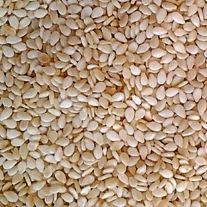 Sesame seed price