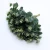 Import Simulation plant single eucalyptus flower accessories microscopic material grass decorative leaf from China