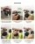 Import SMACO Scuba Spare Oxygen Tank,  Mini Scuba Diving Cylinder Set Water Sport Equipment from China