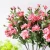 Import Small quantities single-branch 7 head iceberg rose 2.5cm Custom color from China
