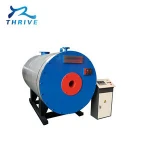 small wood coal fired steam boiler