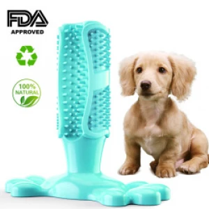 Smart love pet dog toy molar design
