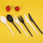 Special Design Widely Used Biodegradable Compostable Wheat Straw PLA Cutlery Set