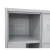 Import Sports Gym Steel locker Z L shaped clothes cabinet 2 doors metal storage locker wardrobe from China