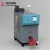 Import Steam Producer Mushroom Pasteurization LPG Diesel Boiler Steam Boiler from China