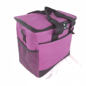 Sturdy Multicolor China High-Quality Portable Picnic Bag With Front Zipper Pocket