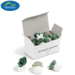Succulent Push Pins Set