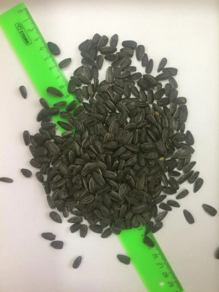 Sunflower seed for animal feed