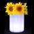 Import SX-5043-ICB Double Use LED Flower Vase and LED Ice Bucket / LED Home Decorative Lighting / LED Flower Pot from China