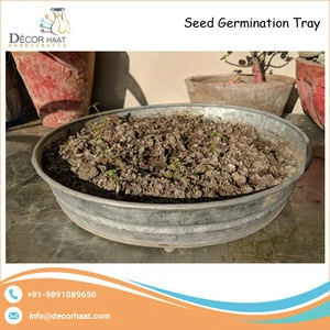 Top Factory Manufacturer of Galvanized Seed Nursery Tray