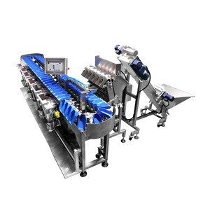 TOUPACK 304 Stainless Steel Material Automatic Weight Sorting Machine