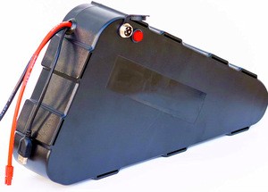 Triangle Ebike Battery Pack Electric Bicycle Battery 48V 20AH Li-ion with Charger quality cell CE Rohs GS
