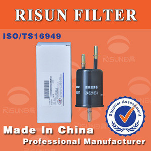 Universal Fuel filter 24521833 for automobile cng/lpg fuel injector filter system Customized auto Spare Parts