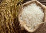VIETNAM LONG GRAIN WHITE RICE 5% BROKEN