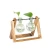 Import Vintage Style Hanging Glass Hydroponic Flower Vase Wooden Tray 3 Beakers from China