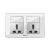 Import Wall Switch 2 Gang Double Mf Switched Socket With Light from China