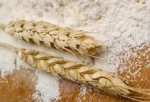WHEAT FLOUR
