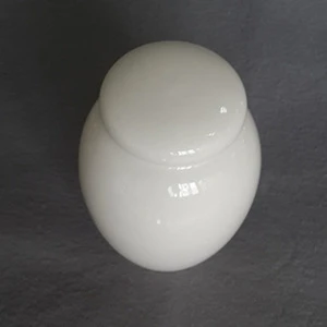 White ceramic pet urn