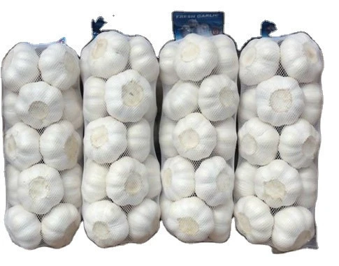 Wholesale 2020 new fresh garlic supplier normal white garlic