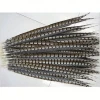 Wholesale beautiful natural pheasant feathers 12-14 inches / 30-35CM,reeves pheasant tail feathers