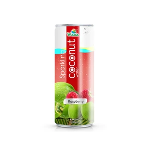 Wholesale Carbonated Coconut Water Juice Drink With Mango Flavor in Can 250ml