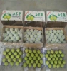 Wholesale China fresh Ya pears