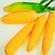 Import Wholesale Dry Animal Feed Yellow Corn from Ukraine