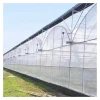 Wholesale High Quality Single-span Vegetables Low Cost 8x30m Green House