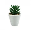 Wholesale mini white ceramic artificial succulent plants