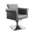 Import Wholesale Modern Hydraulic Black Reclining Unique Salon Styling Chairs from China