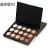 Import wholesale waterproof cosmetic Concealer , Concealer Palette 15 Color from China