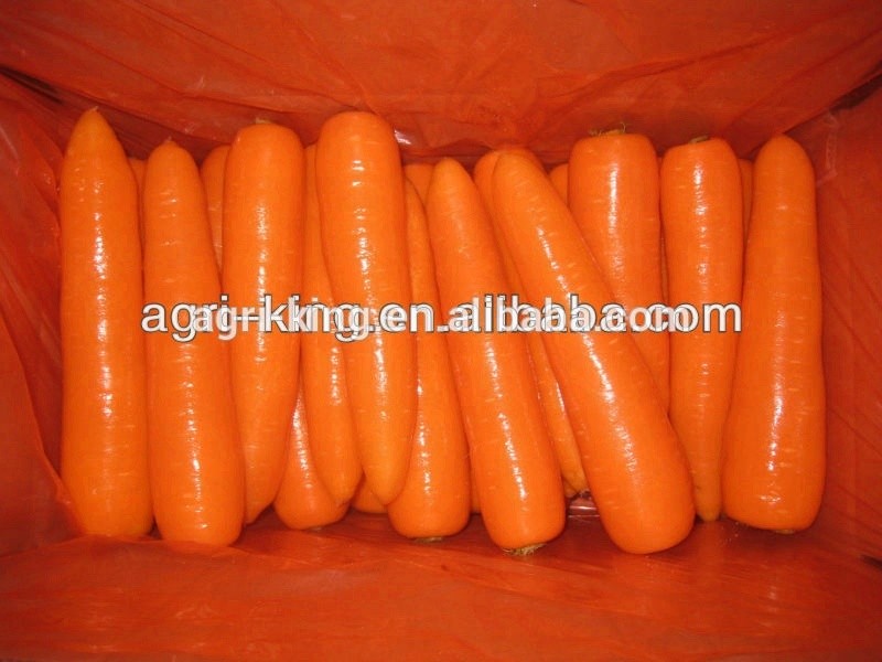 Wholesale Whole Fresh Carrot