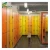 Import Wooden grain 6 door lockers suitable to gym fitness equipment from China