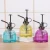 Import YouCheng Wholesale 200ml Vintage Style Transparent Vertical Stripe Glass Spray Watering Can from China