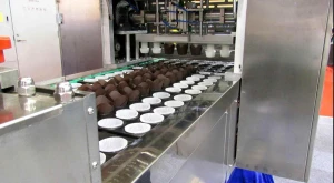 Automated Paper Cup Denester For Muffins And Cupcakes-Yufeng