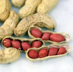 Organic Peanut Kernel Groundnut Snack Food Raw Peanut