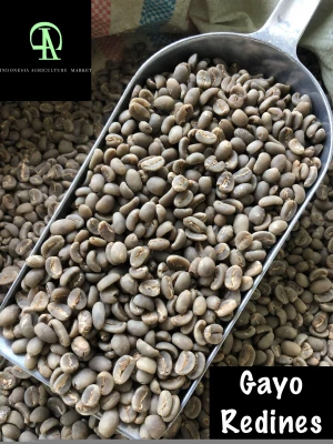 Arabica Gayo Coffee Bean