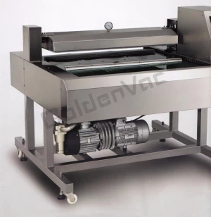 Automatic Continuous Vacuum Packaging Machinery(DZ-1000QF)