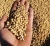 Import Soybean from Nigeria