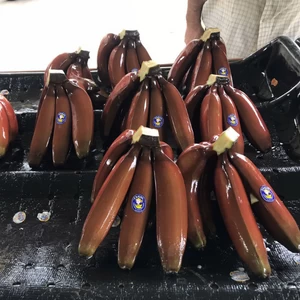 Fresh Red Bananas from Ecuador
