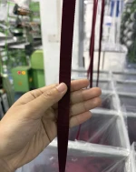 Underwear Tape Elastic Tape Waistband Jacquard Tape Elastic Webbing Ribbons from Factory
