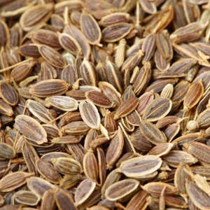 Dill Seeds (Sowa / Suva)