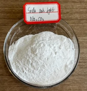 Soda Ash Dense/Light High Purity 99.2% CAS: 5968-11-6/497-19-8