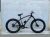 Import Fatbike from India