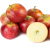 Import Fuji Apples from Canada
