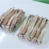 Premium Frozen Whole Round Squid (Loligo Patagonicus)