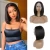 Import High-quality remy hair Bone straight human hair wig T-Lace from China