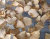 Chips Konjac (Semi Oven Dried)