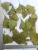 Import Ginkgo Leaf powder ,Herbal straight powder from China