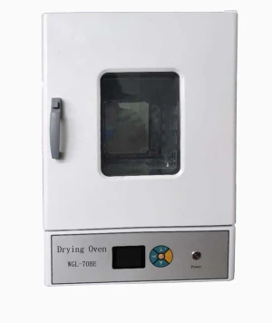 Upgrade WGL Series Vertical Electric Blast Drying Oven
